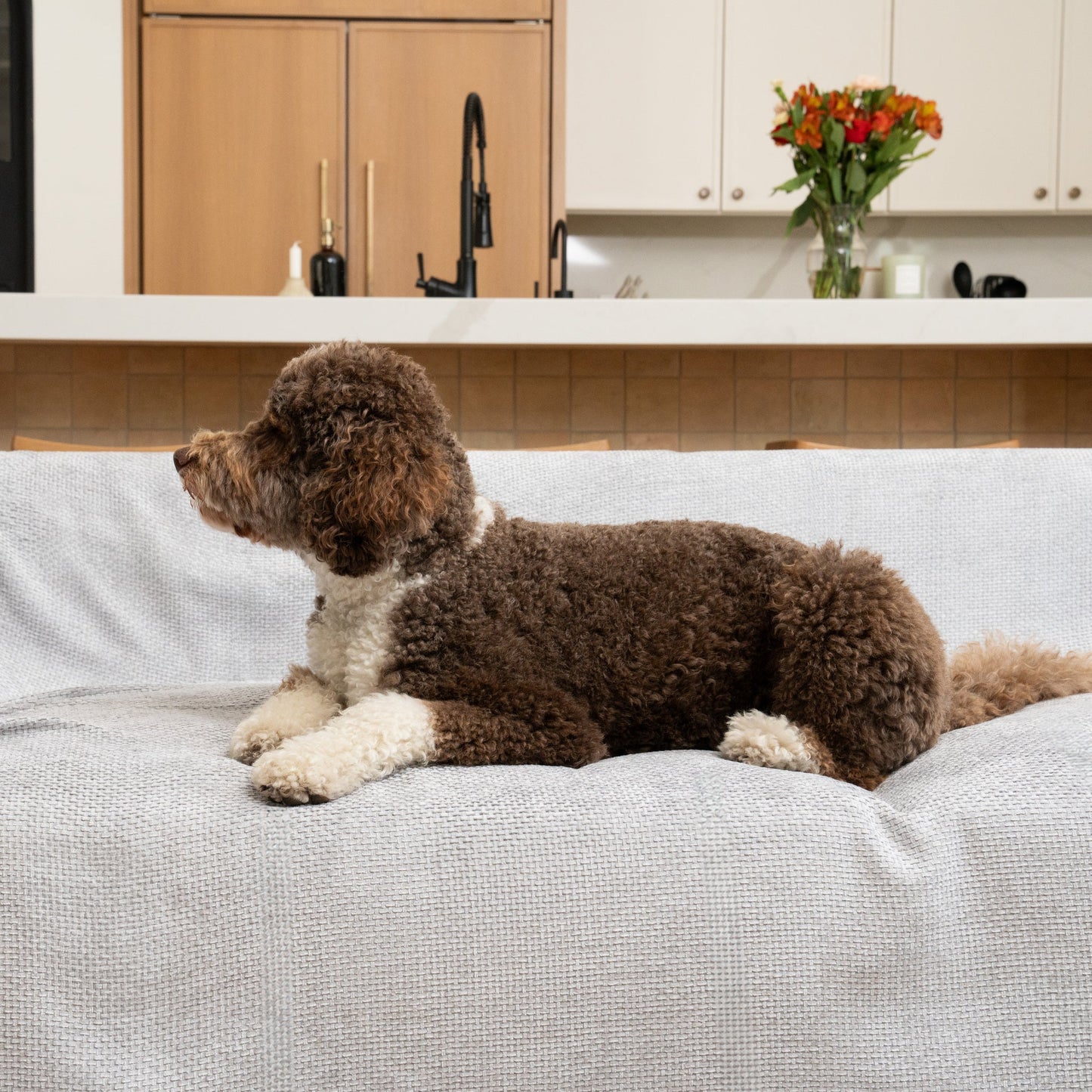 Magic Sofa Blanket - Luca Knit